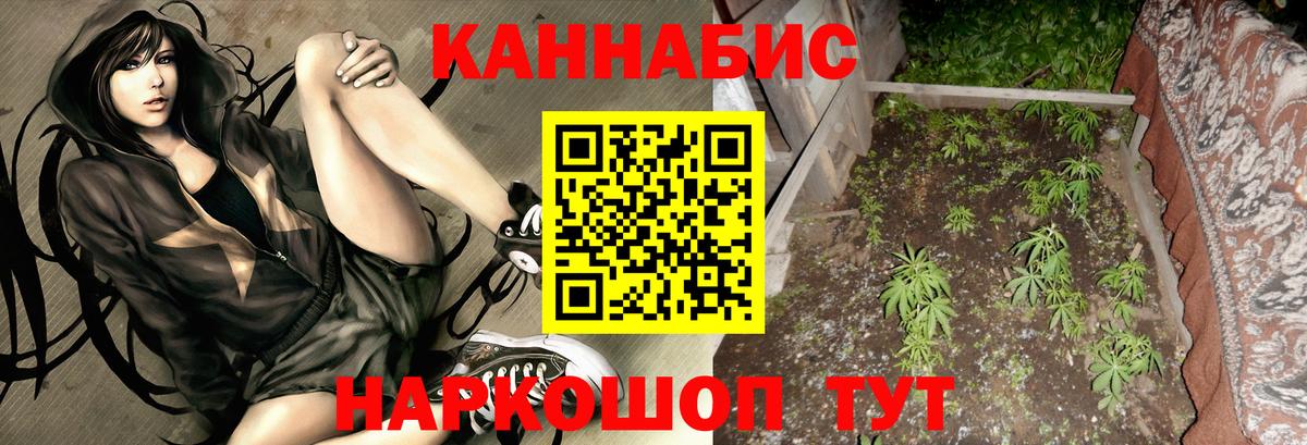 МАРИХУАНА SATIVA & INDICA  Каннабис семена  Миллерово  Вход с VPN 